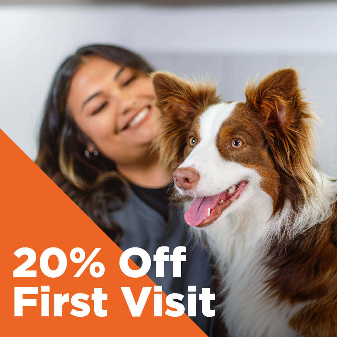 20% Off First Visit