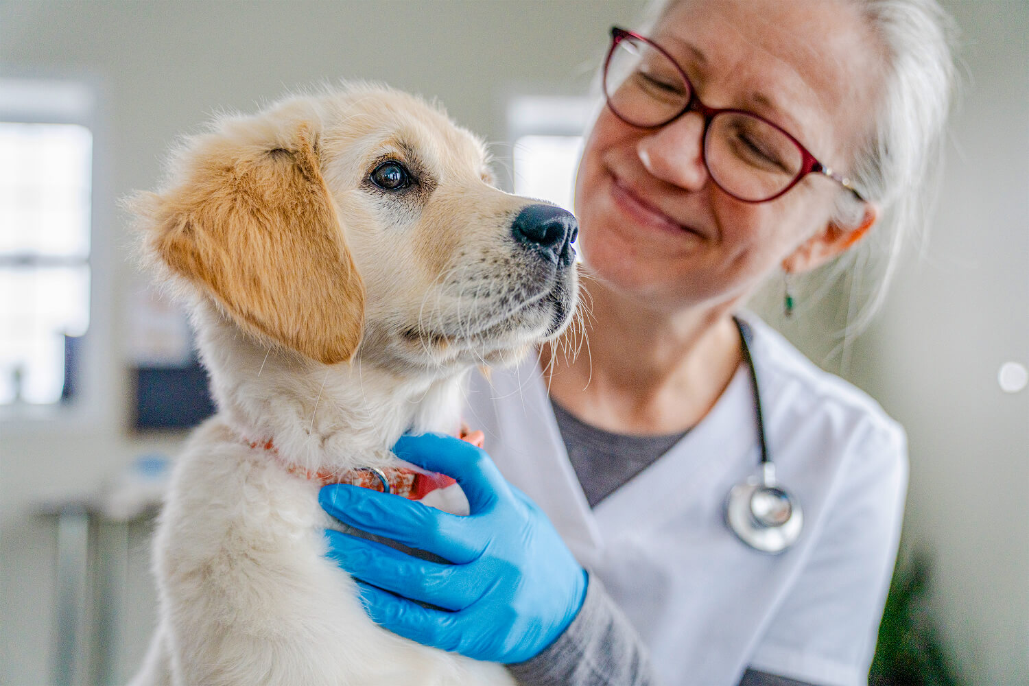 Female vet smiling at a puppy